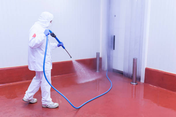 Best Sidewalk and Walkway Pressure Cleaning in East Quogue, NY